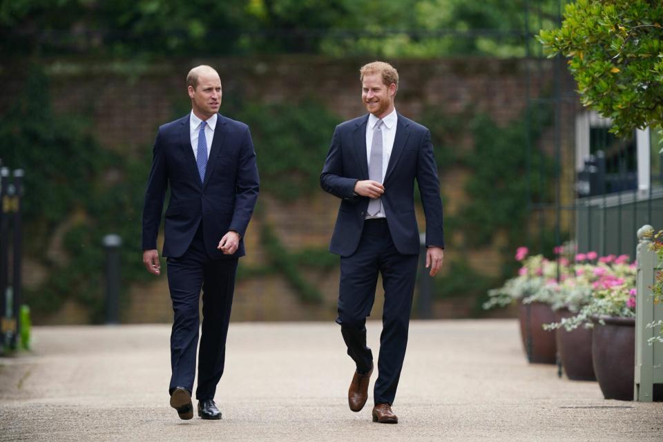 Prince Harry, Prince William