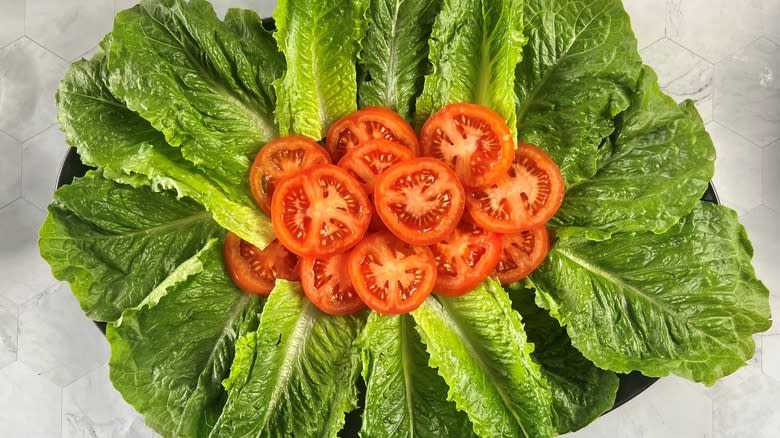 lettuce and tomatoes arranged on plate