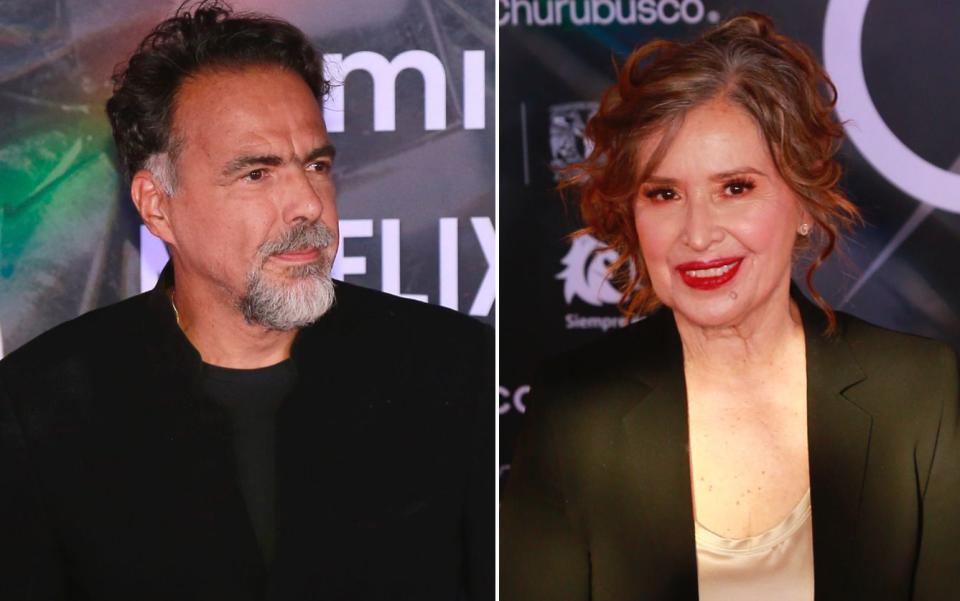 <p>Medios y Media/Getty Images x 2</p> Alejandro González Iñárritu y Marí­a Rojo