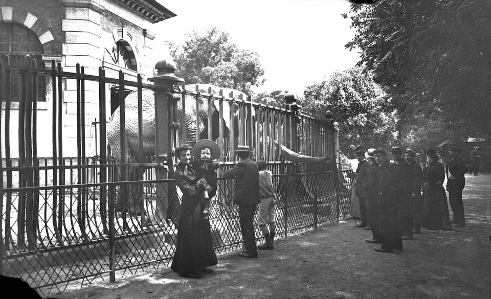 The palace of the pachyderms at the Jardin des Plantes in Paris, circa 1900. <a href="https://www.gettyimages.com/detail/news-photo/the-palace-of-the-pachyderms-at-the-jardin-des-plantes-in-news-photo/147800837" rel="nofollow noopener" target="_blank" data-ylk="slk:ND/Contributor/Roger Viollet via Getty Images;elm:context_link;itc:0;sec:content-canvas" class="link ">ND/Contributor/Roger Viollet via Getty Images</a>