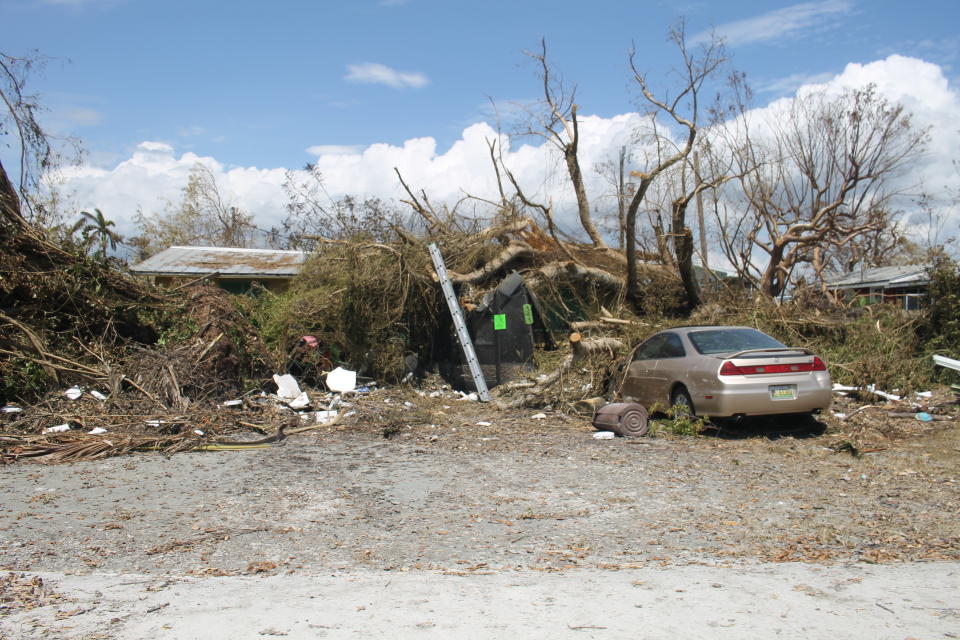 Fallen trees in Goodland, Florida, after Hurricane Irma. (Photo: David Lohr/HuffPost)