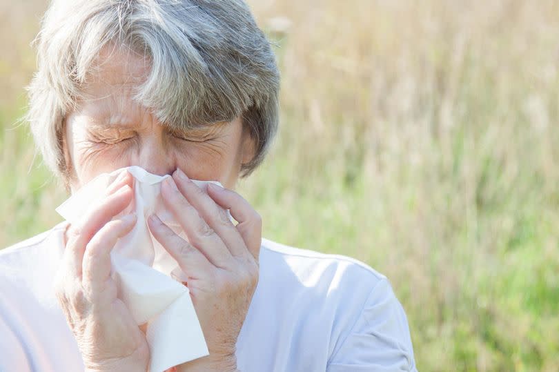 Hay fever and cold symptoms can sometimes overlap (Alamy/PA)