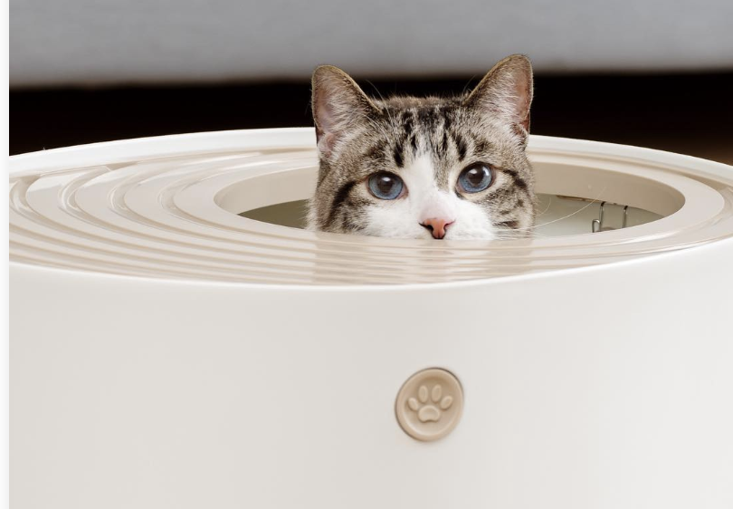 The Iris top-loading litter box keeps your home clean and looks great wherever you place it. Keep reading to see it in your own home using augmented reality. 