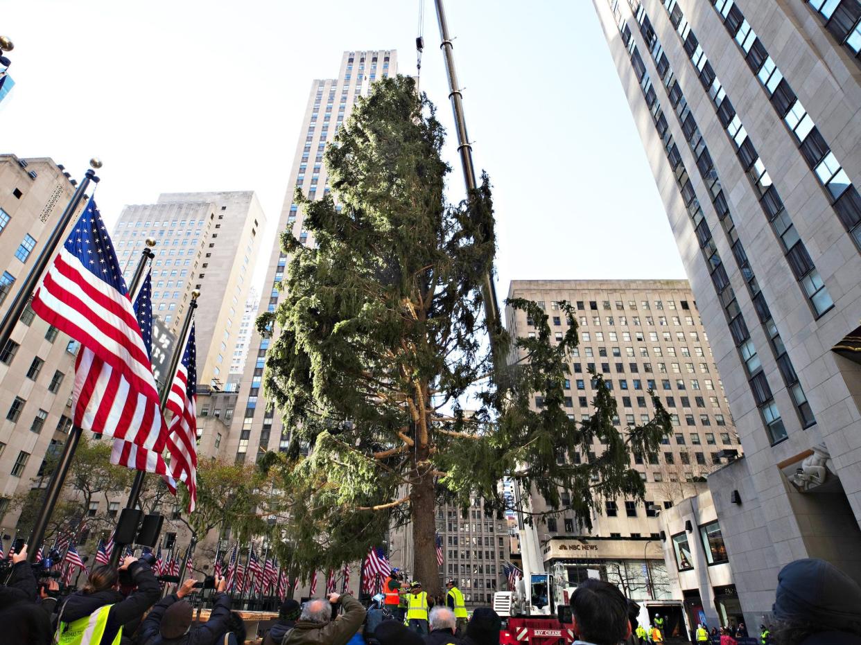 The Rockefeller Center Christmas Tree 2020