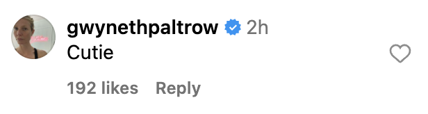 Comment by user Gwyneth Paltrow saying "Cutie" with 192 likes