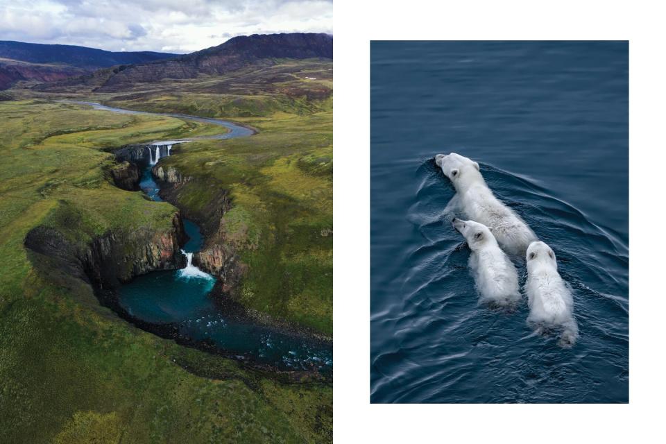 An aerial view of Arctic Bay in summer with green hills and blue waterfalls and a group of three polar bears swimming together