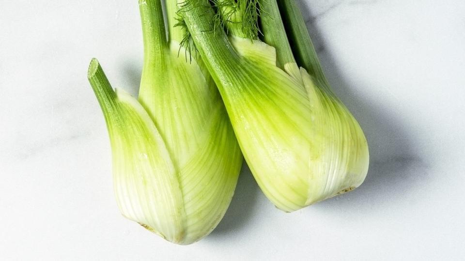 fresh fennel on white background