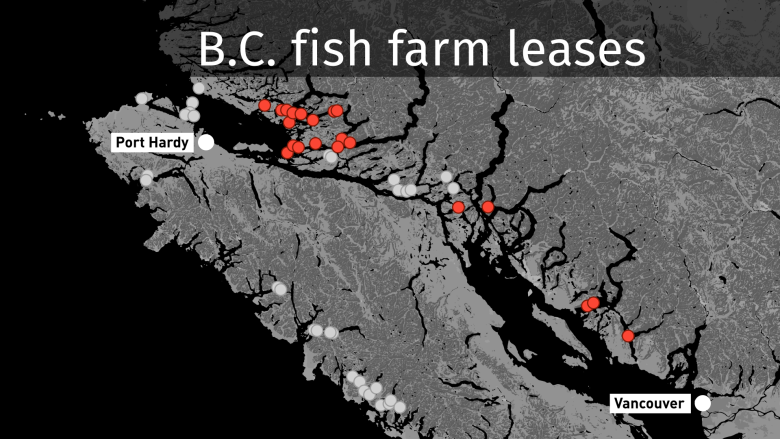 B.C. government and 3 First Nations agree to cooperate on fish farms decisions