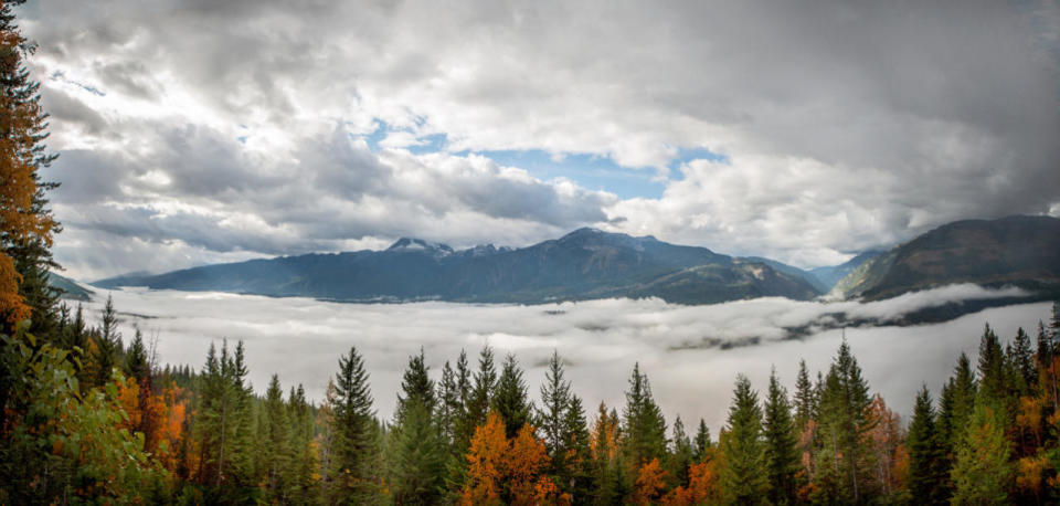 Mount Revelstoke National Park — British Colombia