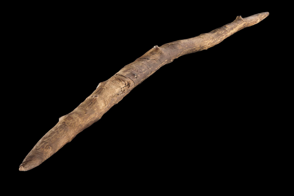 The Schöningen double pointed wooden throwing stick