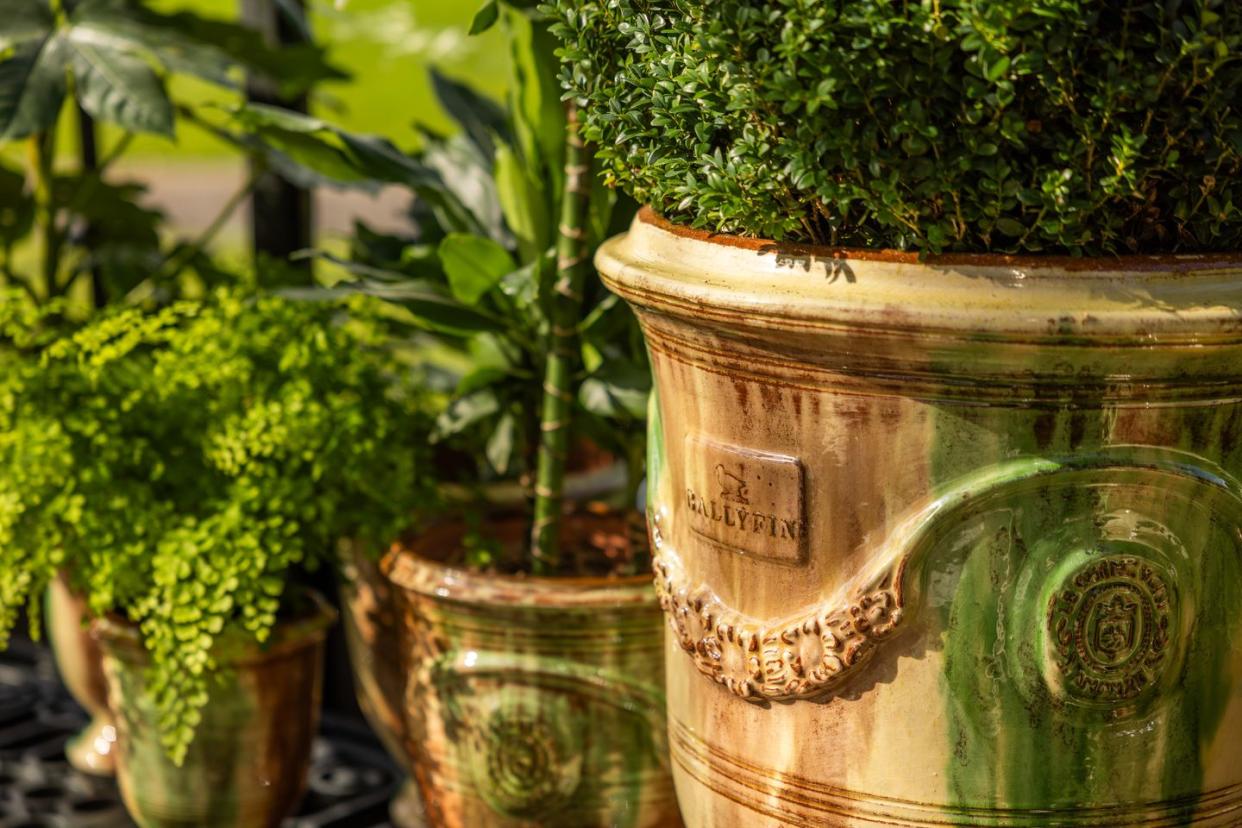 french terra cotta planters