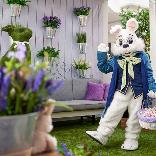 West Town Mall announces Easter bunny visits as part of the Bunny Photo Experience. The bunny will be available for visits until March 30.