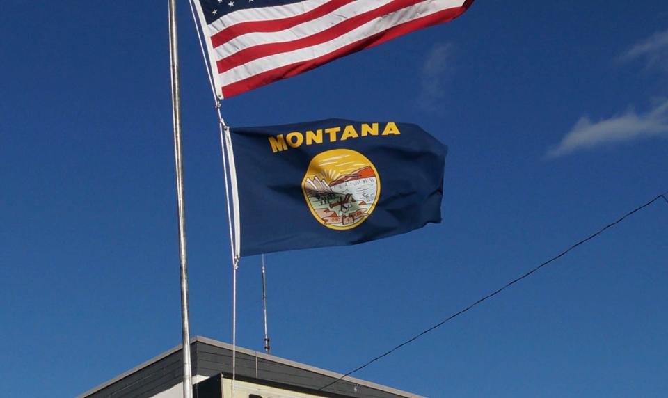 Montana's state flag.
