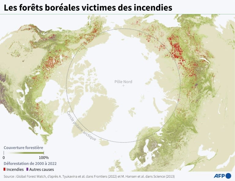 Les forêts boréales, victimes des incendies (AFP - Valentin RAKOVSKY)