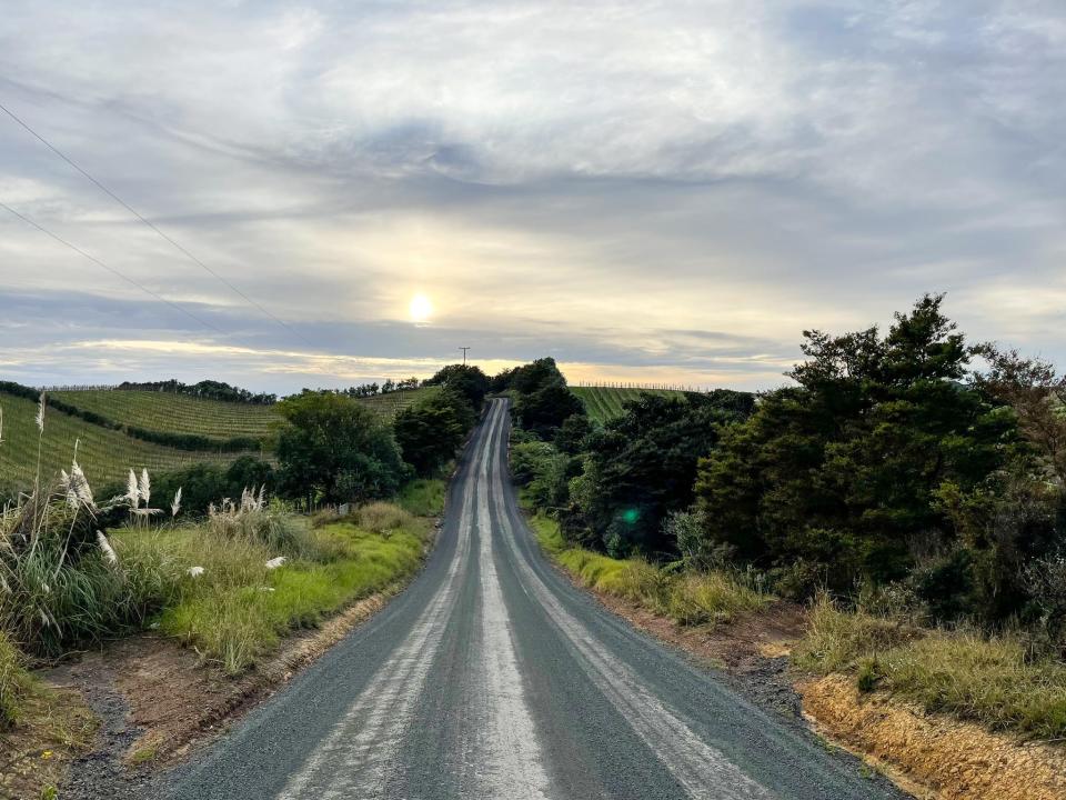 A view of a climbing, narrow road on Waiheke Island in New Zealand.