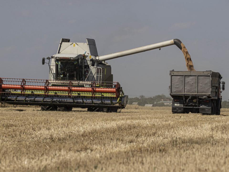 A grain farm in Ukraine