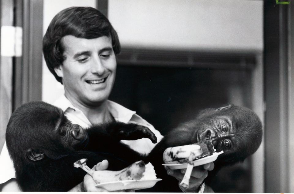 Columbus Zoo director Jack Hanna holds 1-year-old twin gorillas Macombo II, also known as Mac, and Mosuba in 1984.  Mac II and Mosuba were the first twin gorillas to be born at a U.S. zoo.