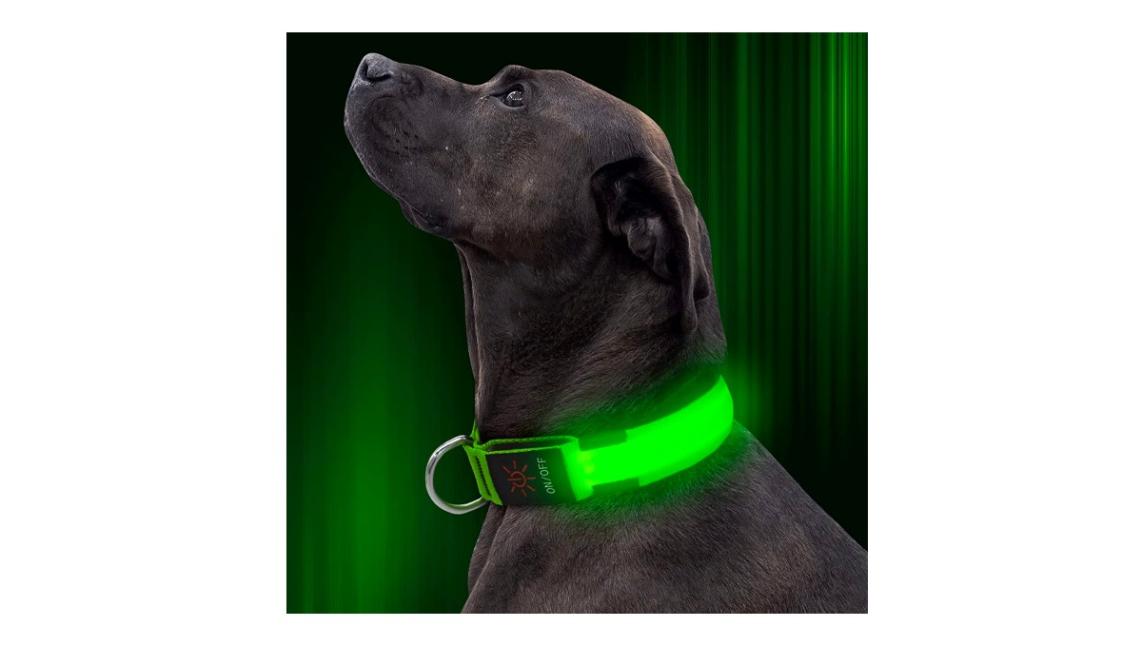 are led dog collars safe