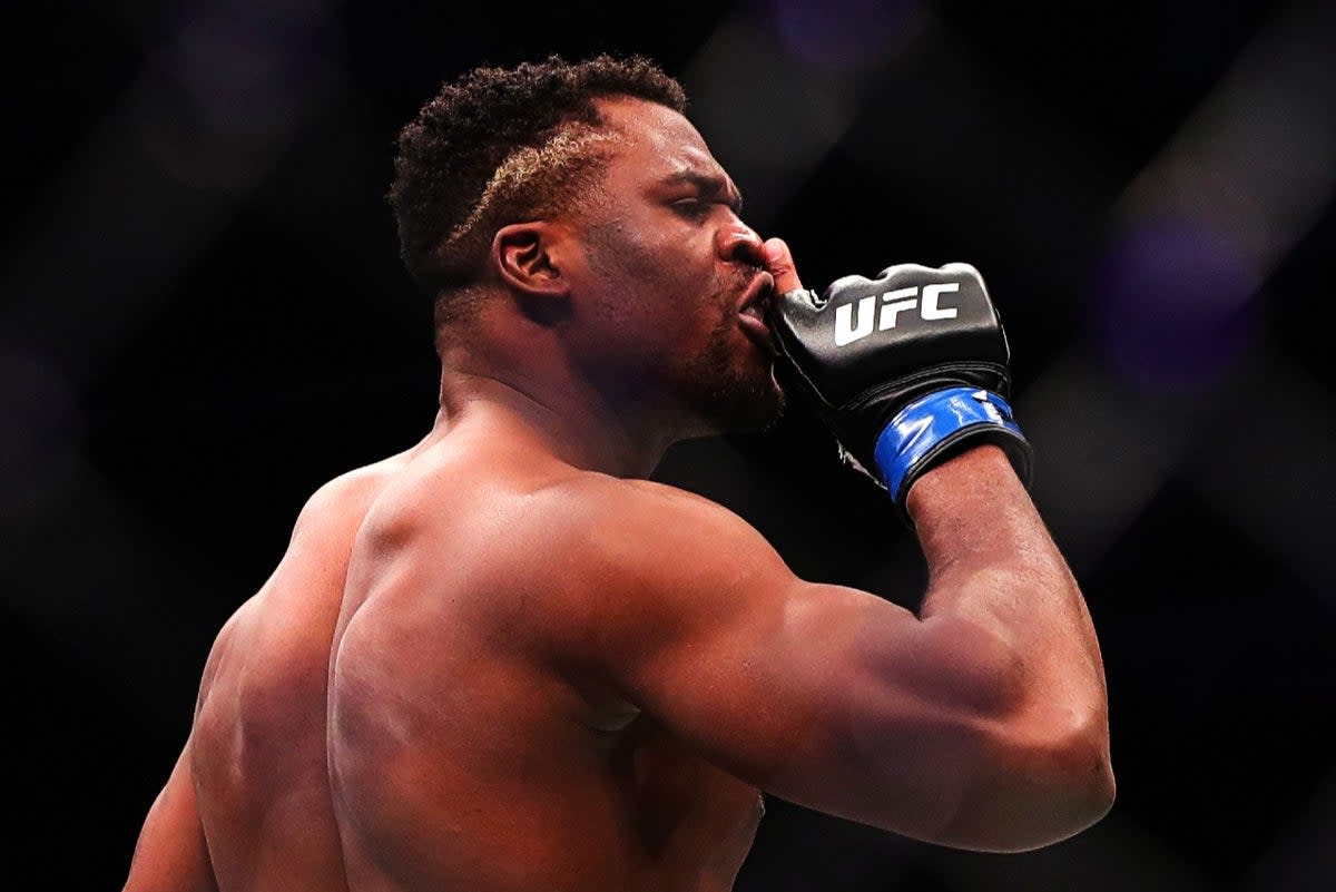 Francis Ngannou during his mesmerising UFC run (Getty Images)