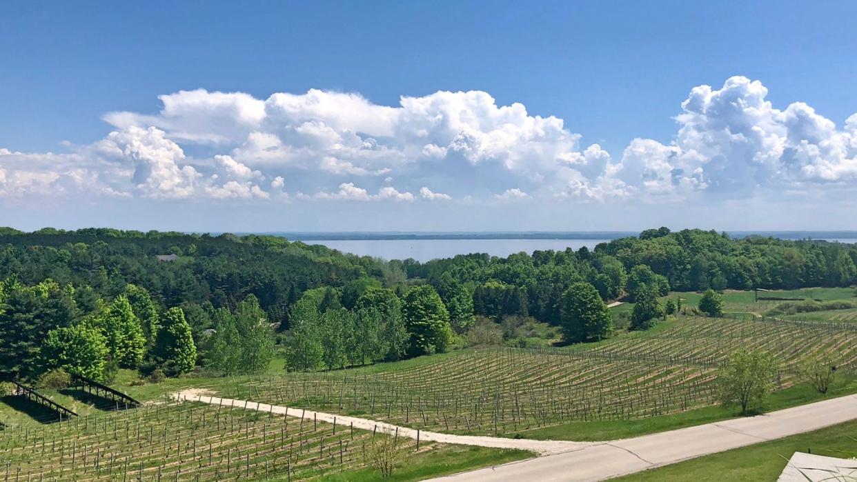 michigan vineyard