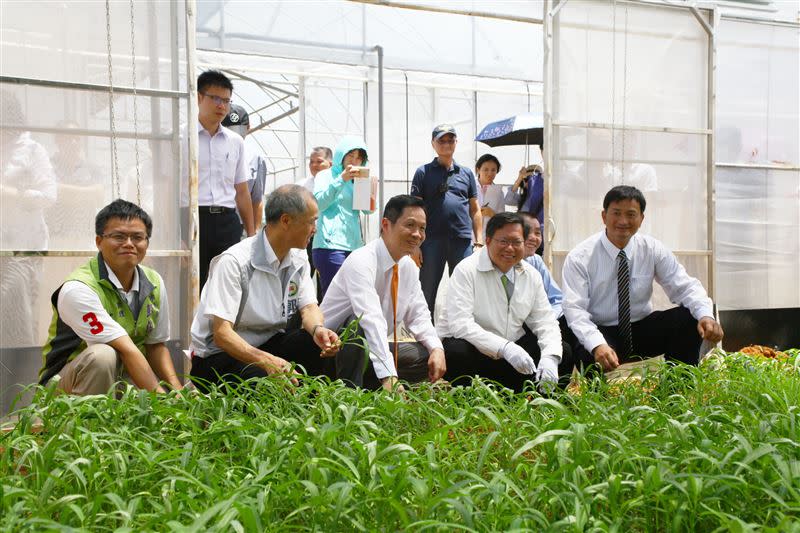 台灣房屋總裁彭培業（中）創業界之先，成立「友善健康農場」，栽種各類有機蔬菜，每週定期發送給同仁與客戶共享。（圖／台灣房屋提供）