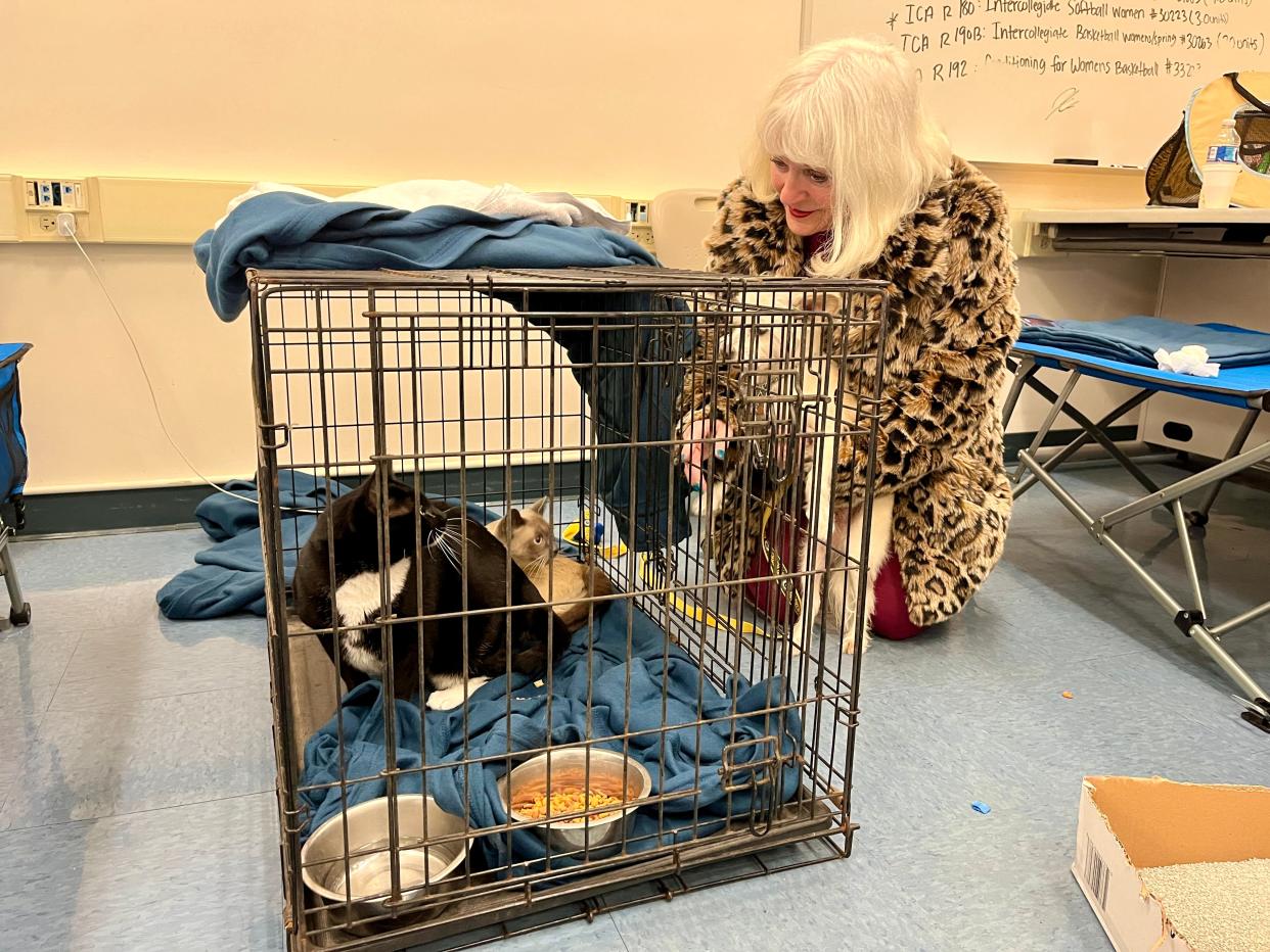 Cecily Willis checks in on her two cats, Roz and Daphne, while holding her dog, Truman, on Thursday. Willis, her husband and her pets evacuated their Port Hueneme home around 5 a.m. after waking up to 5 inches of water in their bedroom.