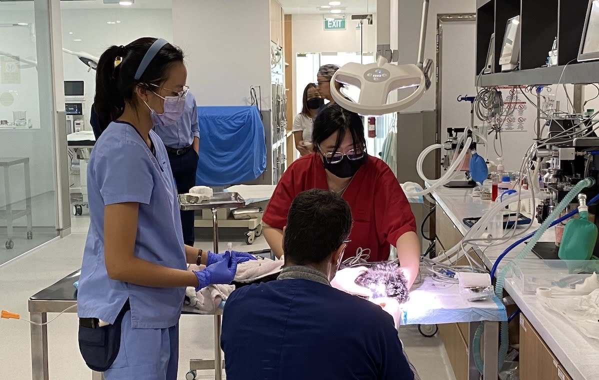 Vets and specialists at VES Hospital Singapore diagnose complex injuries or diseases among pets. (PHOTO: Chia Han Keong/Yahoo Lifestyle Singapore)