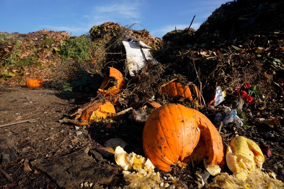 Pumpkins, along with garden waste and other organic waste, await composting at the Anaerobic Composter Facility in Woodland, Calif., Tuesday, Nov. 30, 2021. In January 2022, new rules take effect in California requiring people to recycle their food waste in an effort to reduce greenhouse gas emission in landfills. Most cities will allow the food to go in green waste bins before it's taken to facilities like the one in Yolo County to be composted or turned into energy.