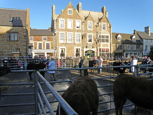 <p>Uppingham is known for its winter fatstock show</p> (Michael Trolove)