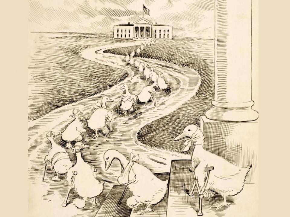 Lame duck Democrats limp back to Woodrow Wilson’s White House in this 1915 cartoon by Washington Star political cartoonist Clifford K Berryman (Clifford K Berryman/Public Domain)