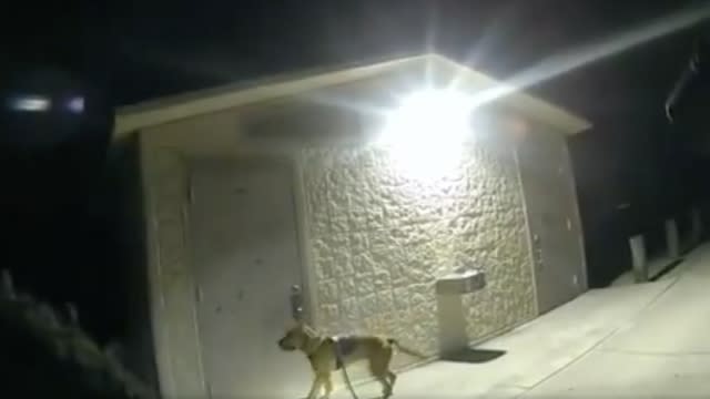 K-9 Mary Lu locates a girl in a park bathroom