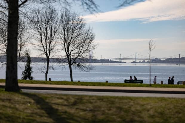 It was originally believed the  emerald ash borer was only present in the DeWolf Park and Waterfront Drive areas of Bedford, but its spread has been confirmed throughout Bedford.