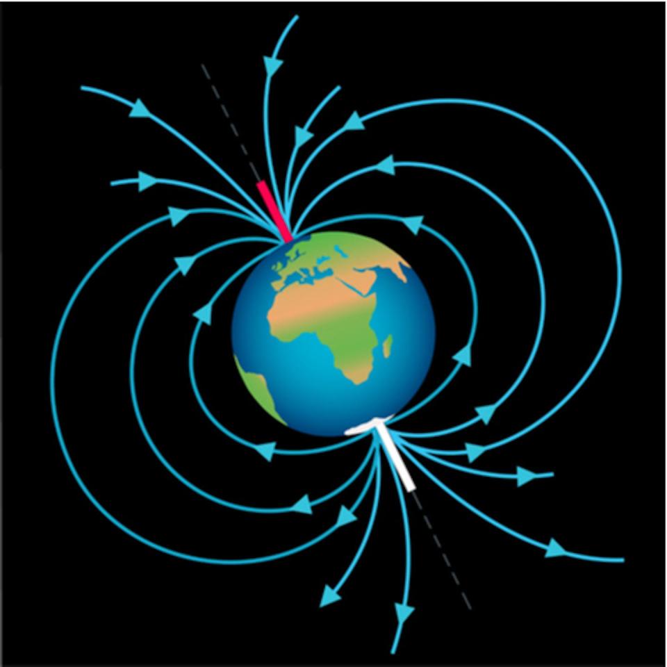 Ici, vous pouvez voir comment le champ magnétique terrestre s’étend dans l’espace et revient en boucle. L’extrémité rouge est le pôle magnétique nord et l’extrémité blanche est le pôle sud. Shutterstock