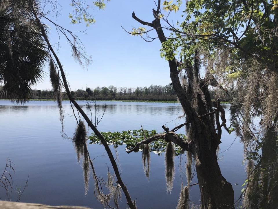 black bear wilderness area trail