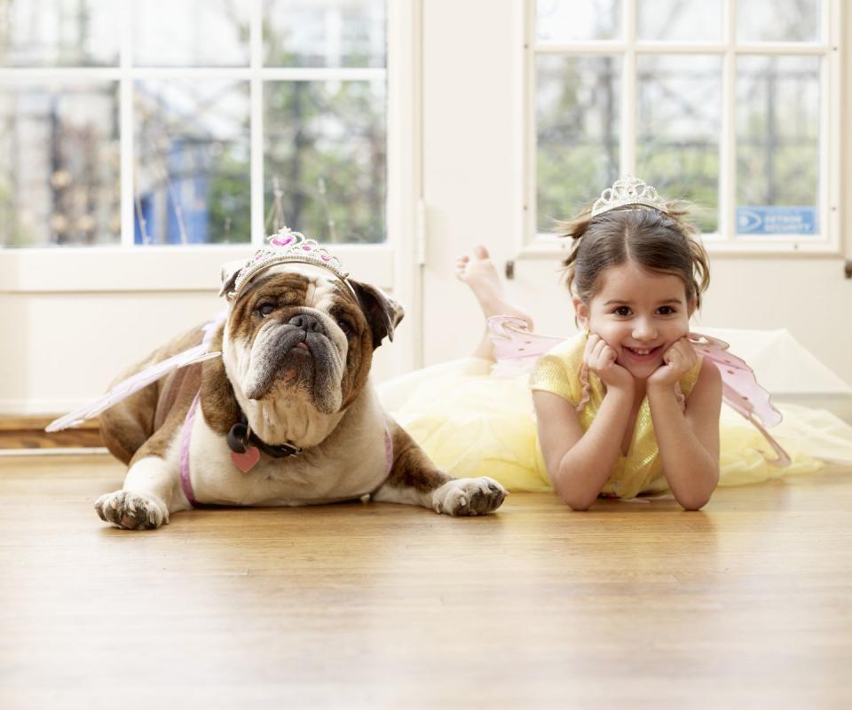 20) Dog and Owner Fairy or Butterfly Costumes