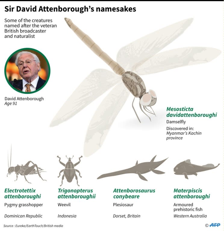 Graphic showing some of the species named after veteran British broadcaster and naturalist, David Attenborough