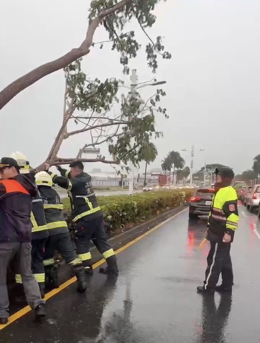 員警與養工處人員合力將倒塌的路樹移除。（圖：前鎮警分局提供）