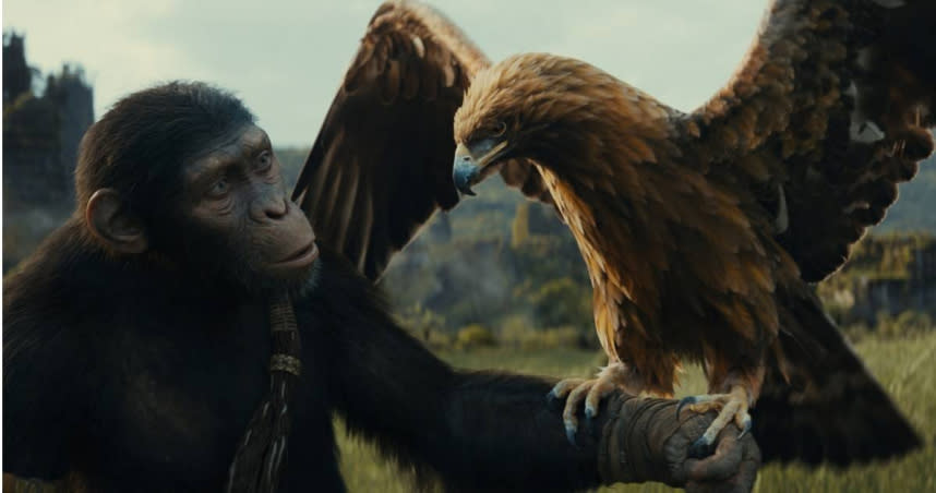 《猩球崛起：王國誕生》特效幾乎是將演員變成猿人，自然景觀大多採用實拍攝。（圖／二十世紀影業提供）