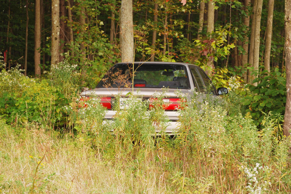 car in the woods