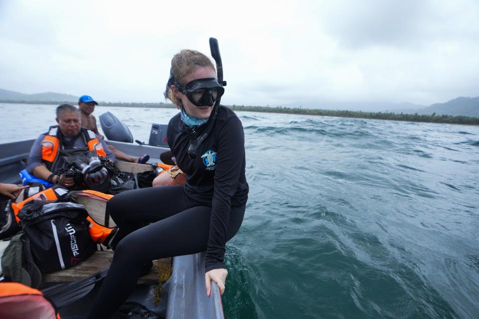 Callie Veelenturf, a marine conservation biologist and founder of The Leatherback Project for the conservation of leatherback turtles, prepares to snorkel while searching for turtles near a beach in Armila, Panama, Friday, May 19, 2023. Sea turtles in Panama now have the legal right to live in an environment free of pollution and other detrimental impacts caused by humans, a change that represents a different way of thinking about how to protect wildlife. (AP Photo/Arnulfo Franco)