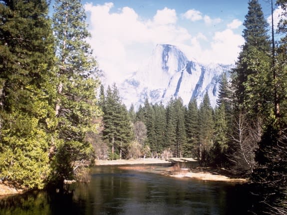 Yosemite National Park is best known for its waterfalls, but within its nearly 1,200 square miles, you can find deep valleys, grand meadows, ancient giant sequoias, a vast wilderness area, and much more.