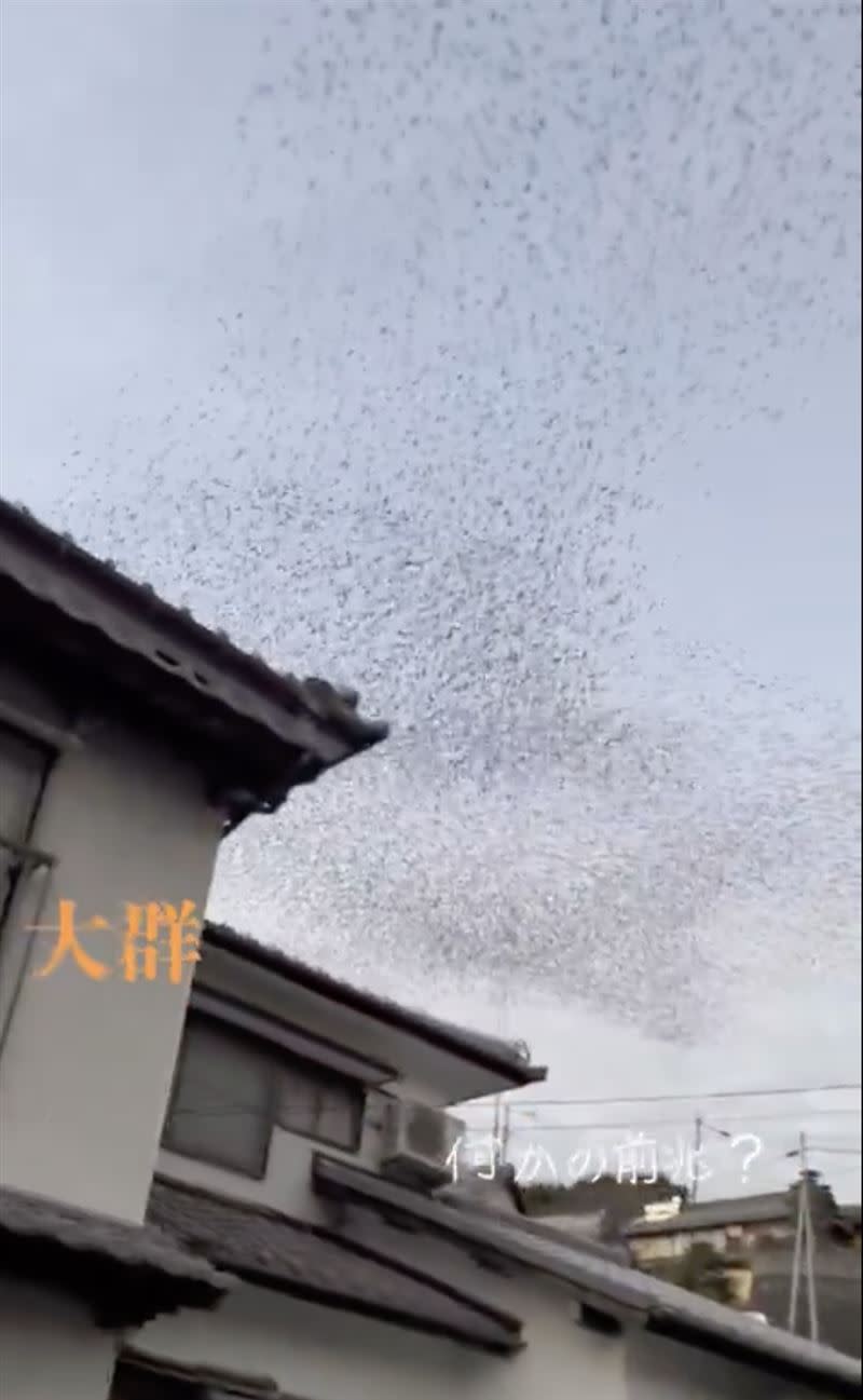 日本網友拍下地震前兩天發生的罕象。（圖／翻攝自X）