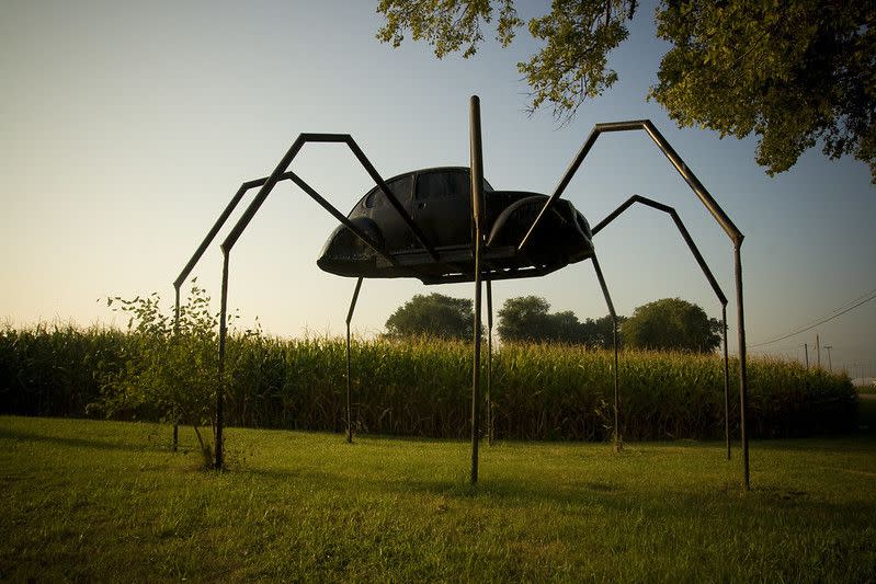 Iowa: Giant Spider Beetle