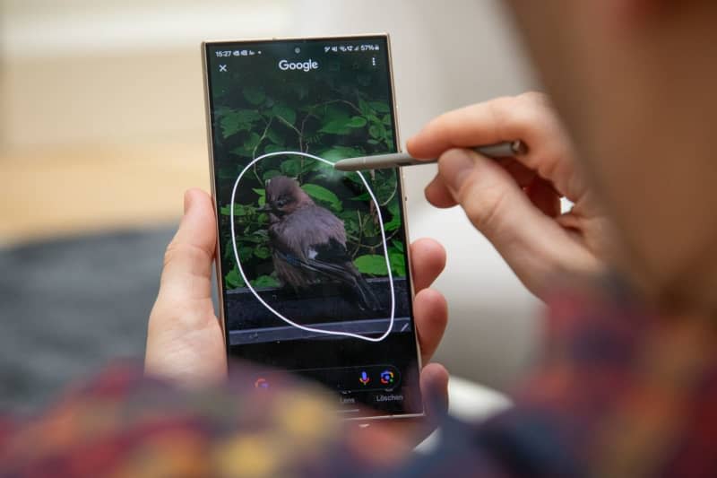 What kind of bird is that? Samsung's S24 Ultra (like Google's Pixel 8) lets you point your camera, circle something and find out more about it in a Google search. Christian Klose/dpa