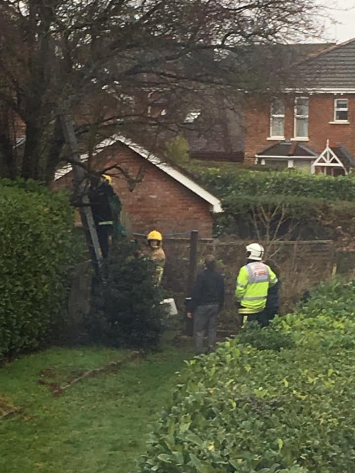 Maria Parry said instinct took over when she climbed the tree - before she also got stuck.