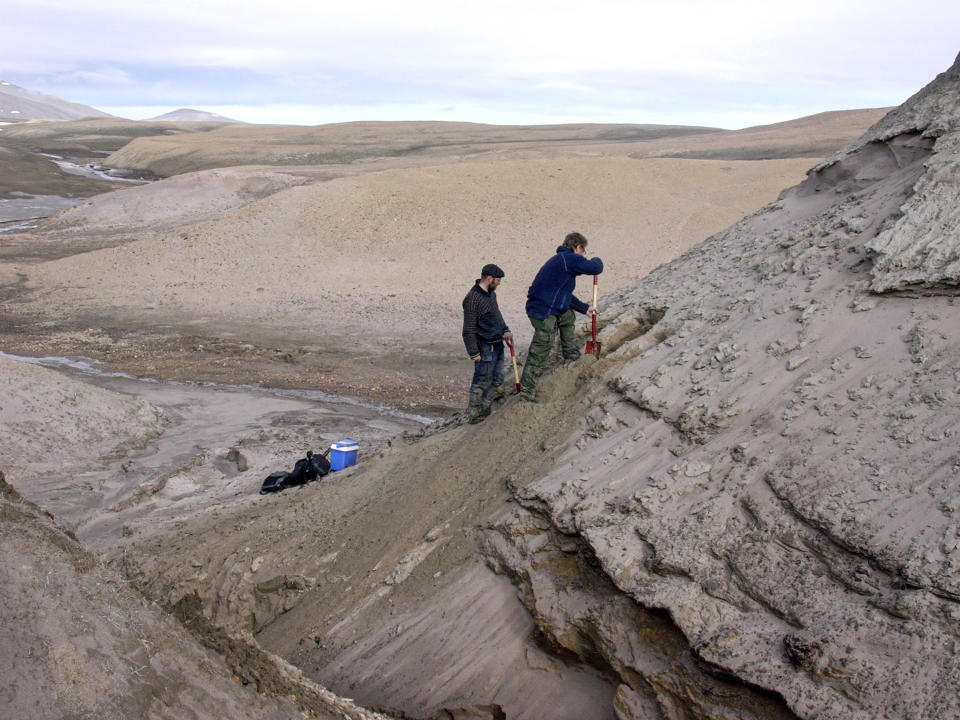 Una fotografía proporcionada por Svend Funder muestra a Kurt H. Kjaer y Eske Willerslev excavando en busca de muestras de suelo en la formación Kap København en Groenlandia. (Svend Funder vía The New York Times)