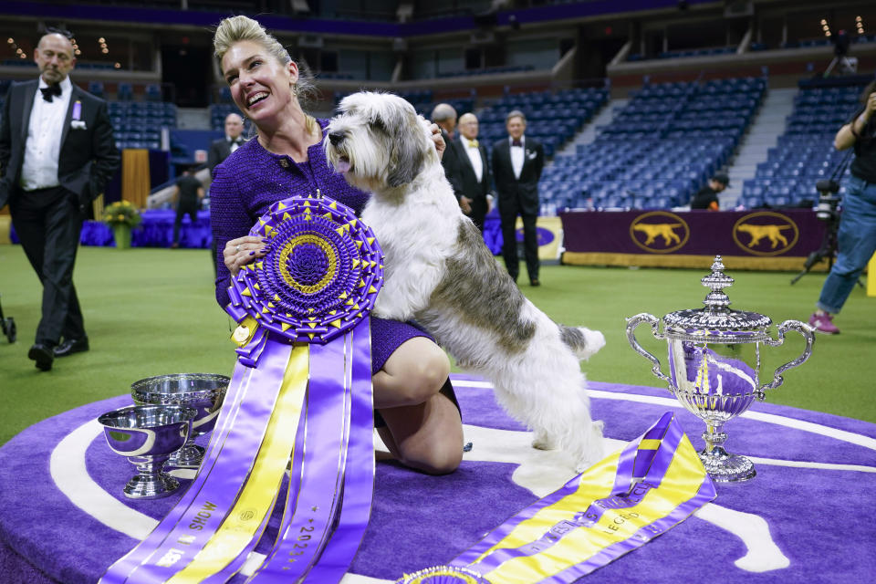 Handler Janice Hays poses for photos with Buddy Holly, a petit basset griffon Vendéen, after he won best in show during the 147th Westminster Kennel Club Dog show, Tuesday, May 9, 2023, at the USTA Billie Jean King National Tennis Center in New York. (AP Photo/Mary Altaffer)