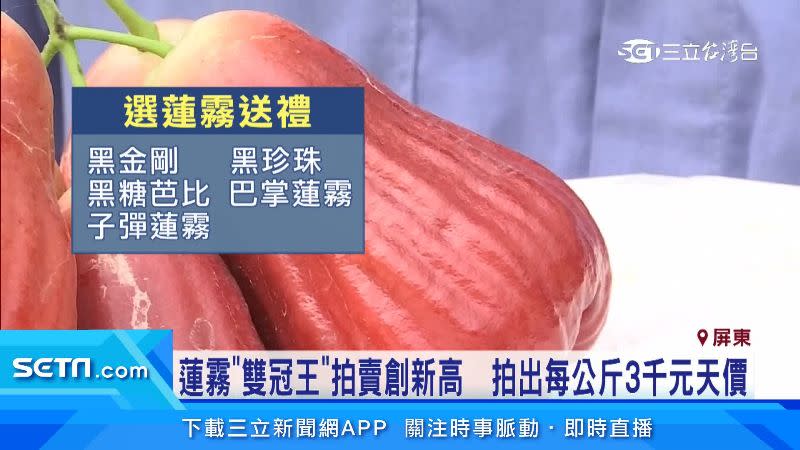 黑金剛、黑珍珠和子彈蓮霧等都是民眾送禮首選。