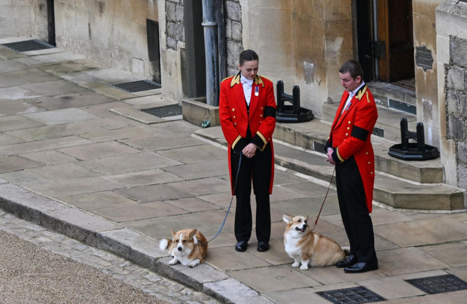 Queen Elizabeth is missed by her corgis Sandy and Muick credit:Bang Showbiz