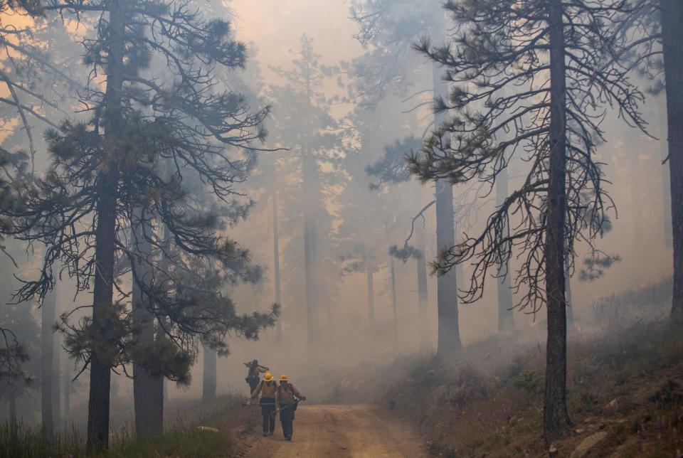 Firefighters walk down a forest service road through thick smoke coming down from an upper fire line to regroup while working on a prescribed burn on Thomas Mountain in Mountain Center, Calif., Friday, June 16, 2023. 